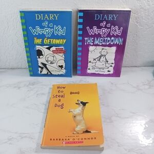2 Diary Of A Wimpy Kid Books & 1 How To Steal A Dog Book